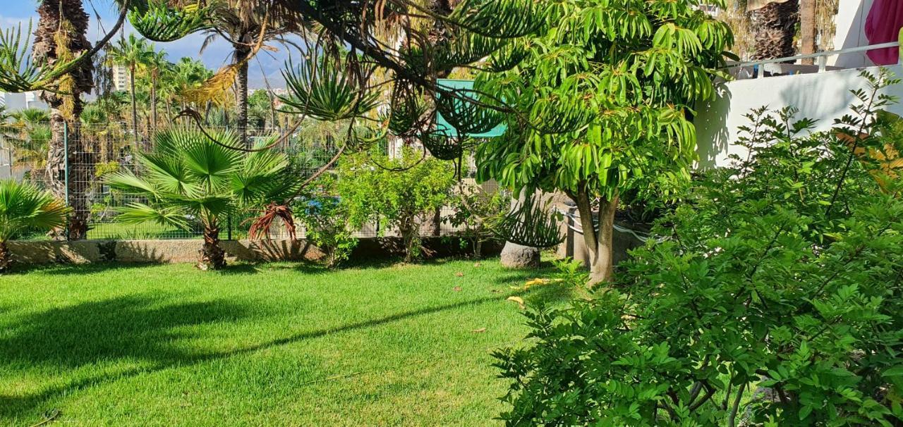 Adults Only Sunny Quiet Apartment In Center Of Las Americas Арона Экстерьер фото